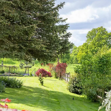 Zum Plauderbaum * Balve